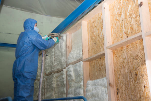 Best Insulation Repair Services  in Streator, IL